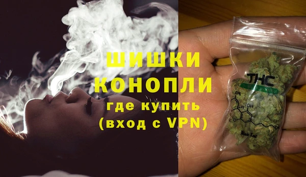 ГАЛЛЮЦИНОГЕННЫЕ ГРИБЫ Покров