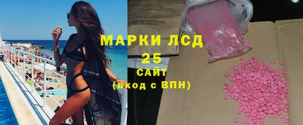 прущий лед Алзамай