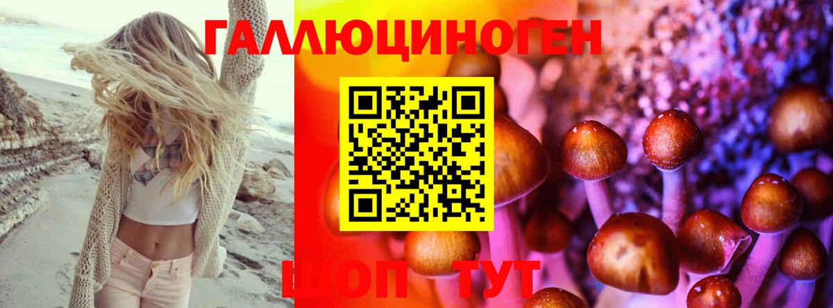 Галлюциногенные грибы Psilocybe  Вход с VPN  Тара  Галлюциногенные грибы Magic Shrooms 