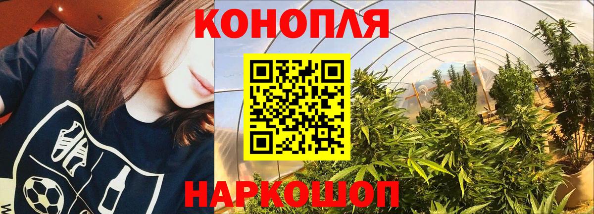Тара  Бошки Шишки THC 21%  Канабис AK-47  Вход с VPN  МАРИХУАНА Amnesia 